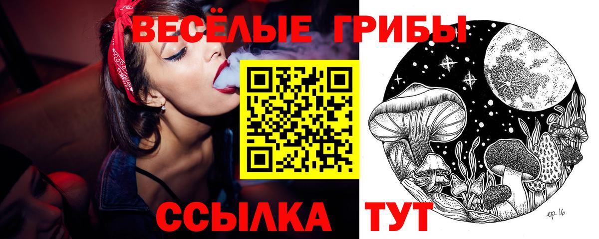 Псилоцибиновые грибы Cubensis  Вход с VPN  Кстово 